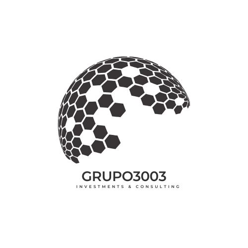 Logo Grupo 3003